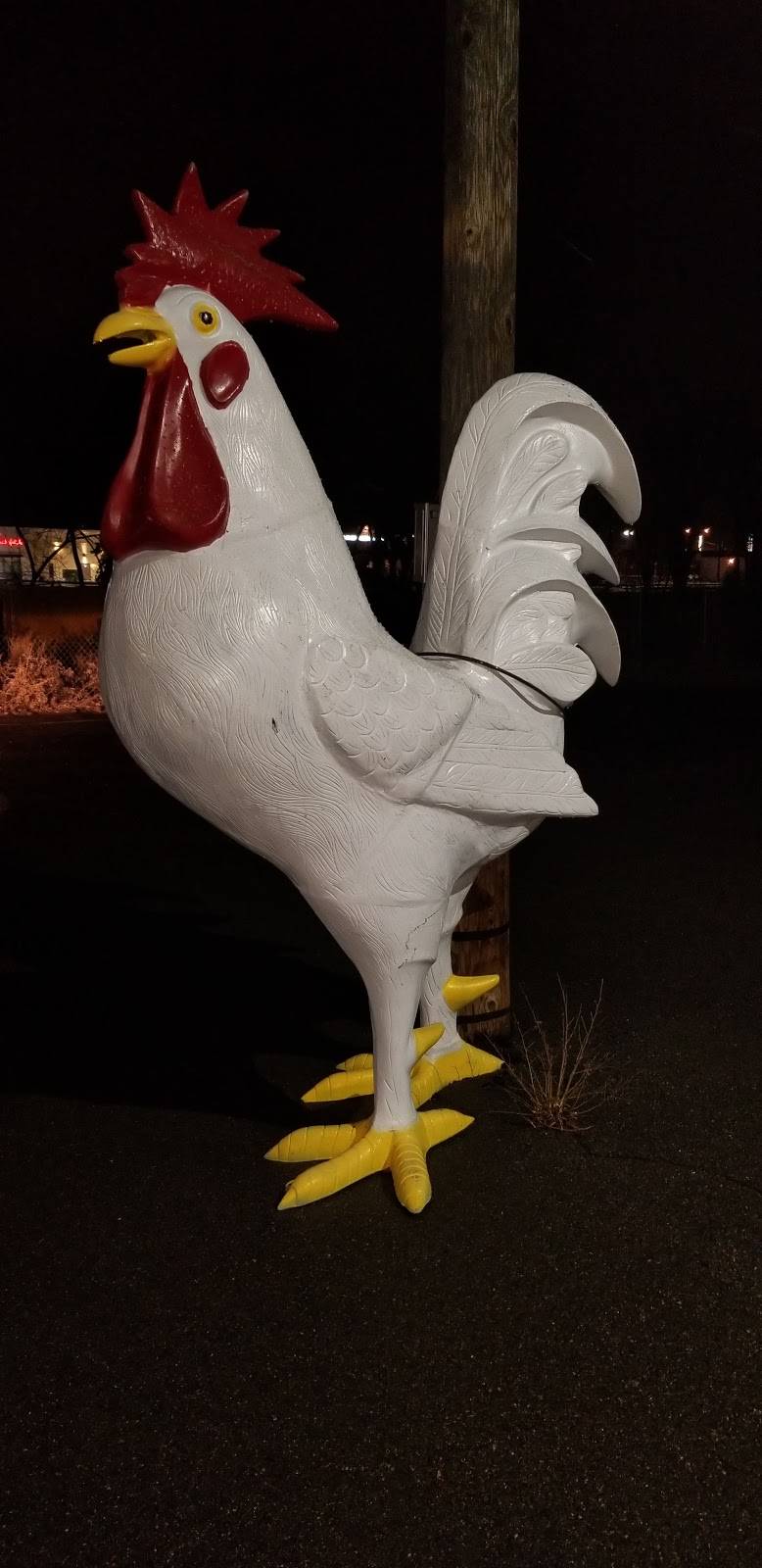 Prime25 | restaurant | 1605 S Tejon St, Colorado Springs, CO 80905, USA | 7193589822 OR +1 719-358-9822