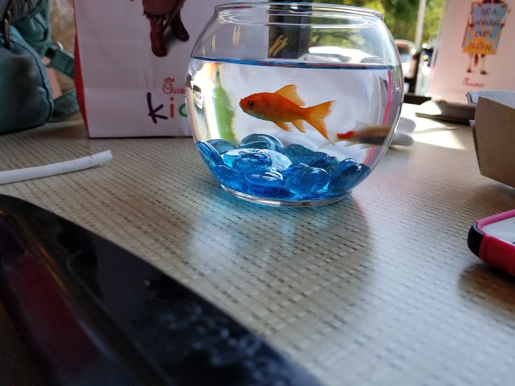 Chick-fil-A | restaurant | 1682 US-98, Daphne, AL 36526, USA | 2516213215 OR +1 251-621-3215