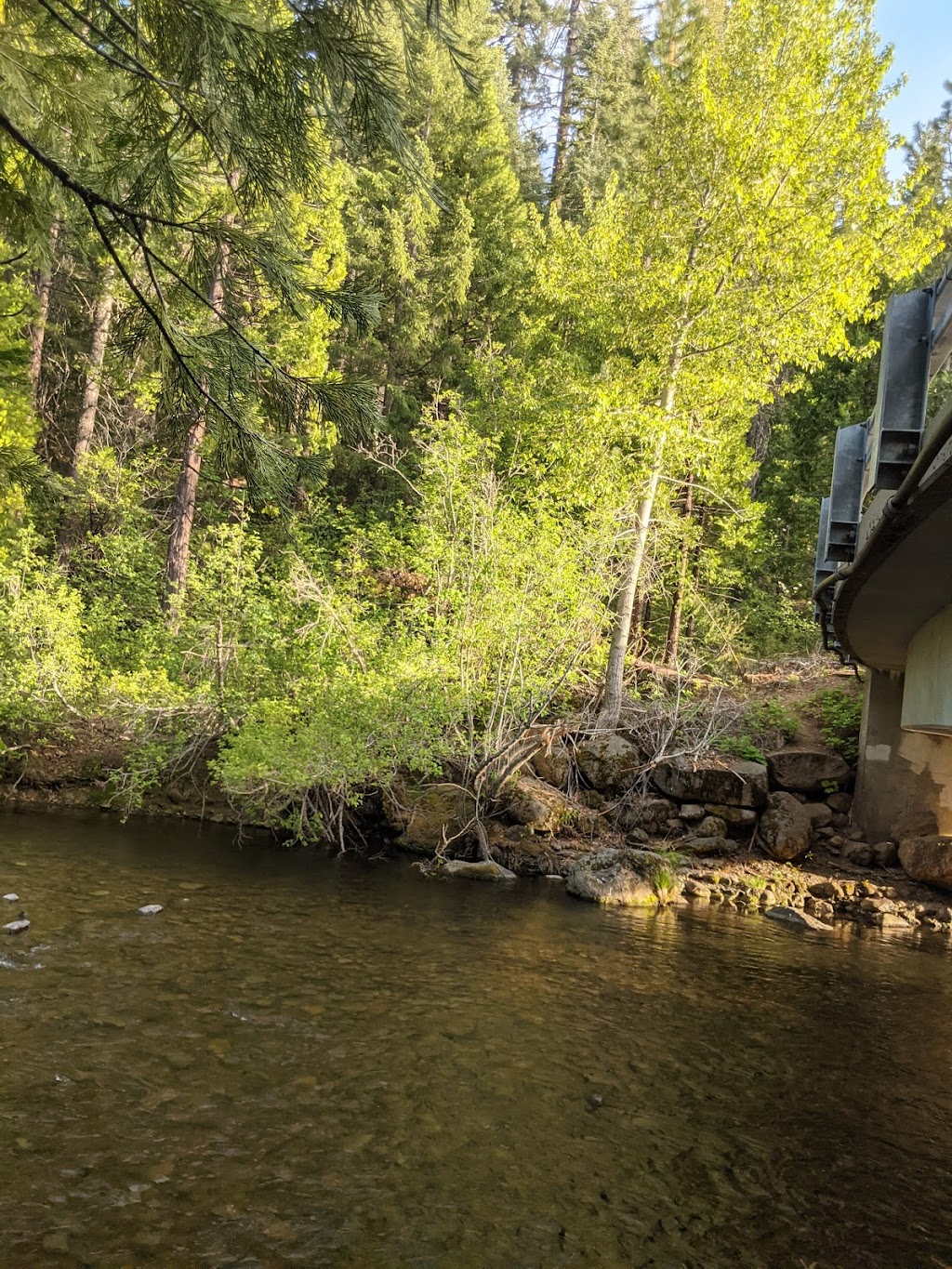 Bambi Inn | restaurant | 7436 Humboldt Rd, Forest Ranch, CA 95942, USA | 5308734125 OR +1 530-873-4125