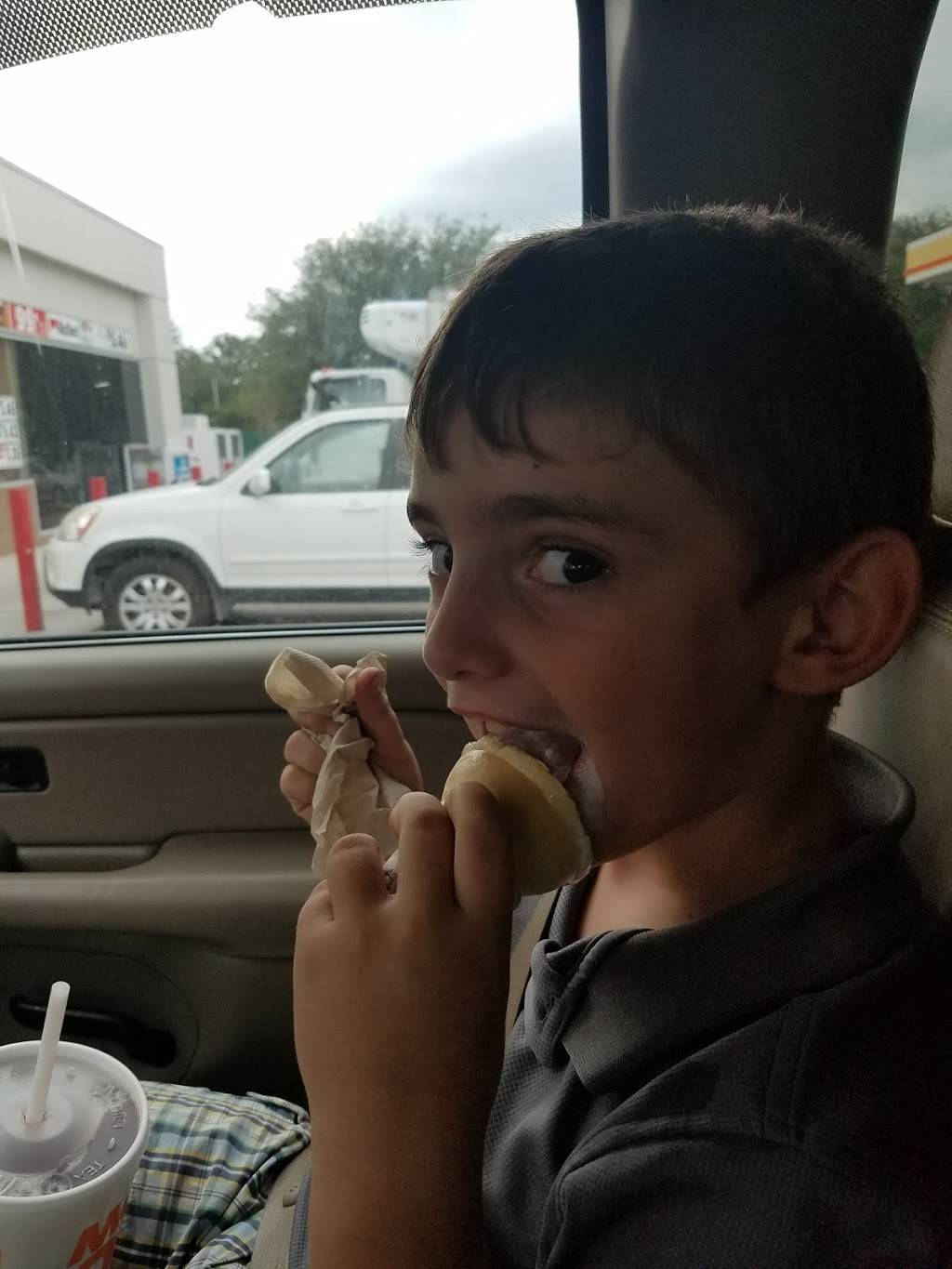 Subway | restaurant | 2055 Co Rd 48, Bushnell, FL 33513, USA | 3525681383 OR +1 352-568-1383