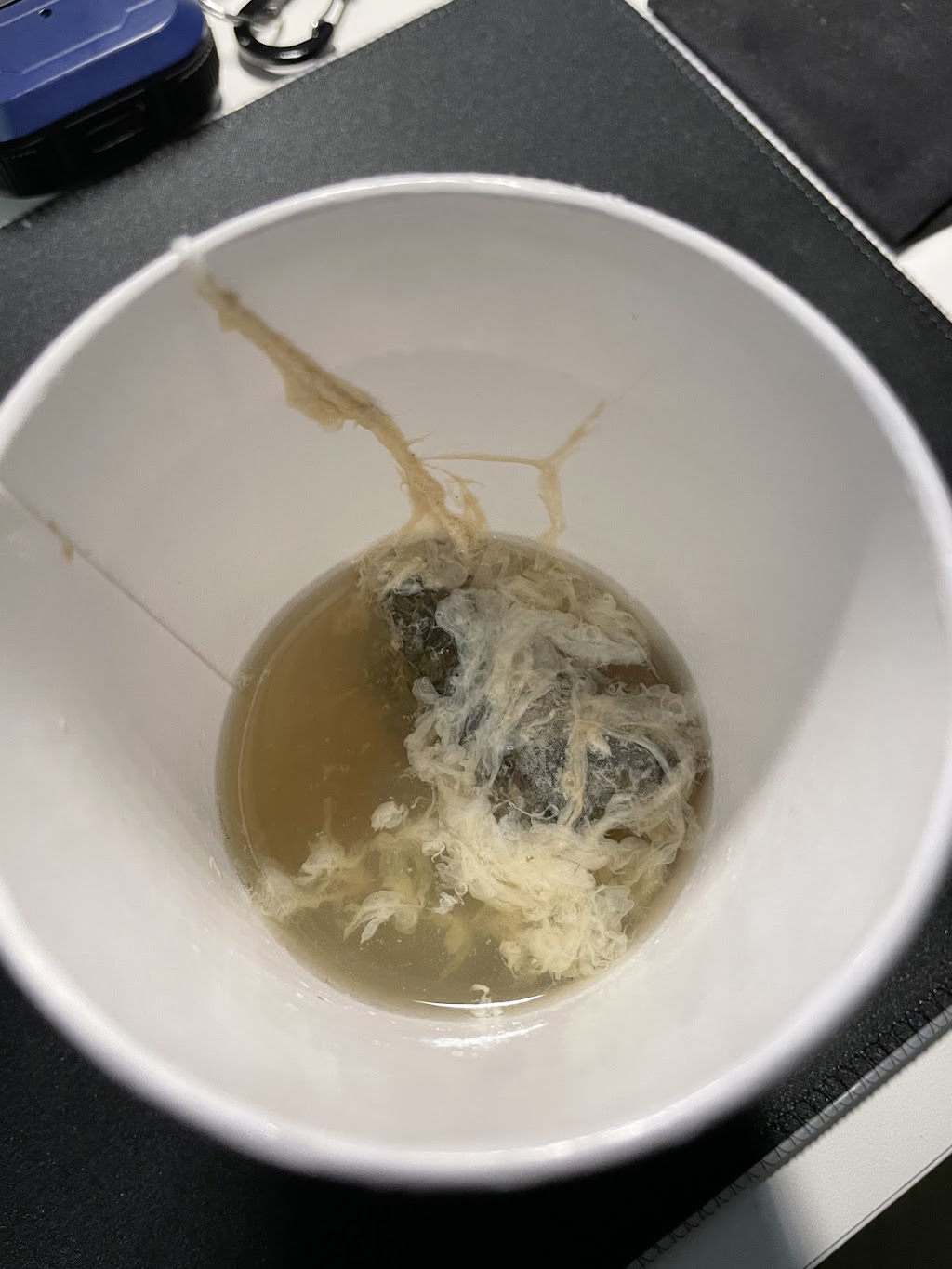 Starbucks | cafe | 3087 S Sheridan Blvd, Denver, CO 80227, USA | 7206934262 OR +1 720-693-4262