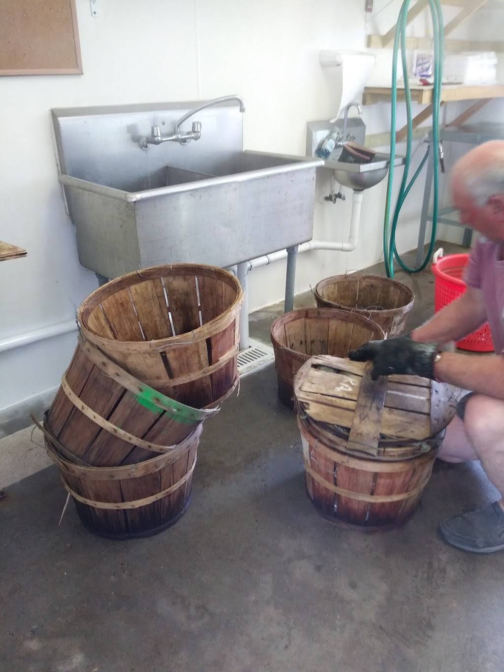 Elliott’s Seafood | restaurant | 10922 Adkins Rd, Berlin, MD 21811, USA | 4106415938 OR +1 410-641-5938