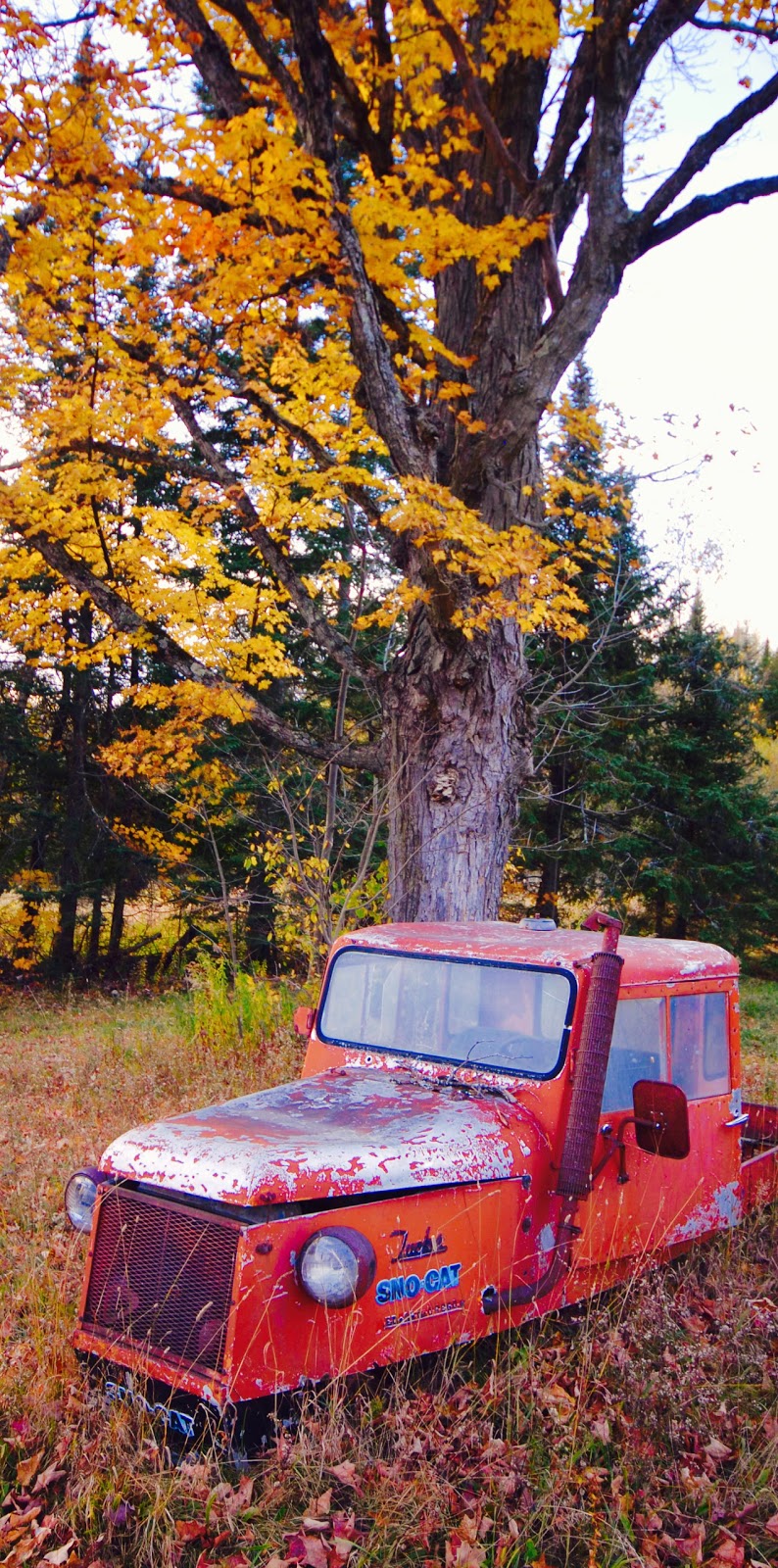 Kingdom Brewing | restaurant | 353 Coburn Hill Rd, Newport, VT 05855, USA | 8023347096 OR +1 802-334-7096