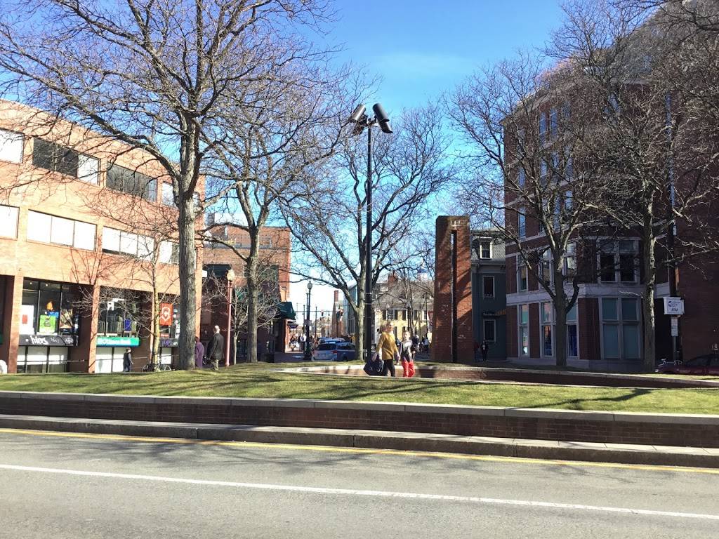 Falafel Corner | restaurant | 8 Eliot St, Cambridge, MA 02138, USA | 6174418888 OR +1 617-441-8888