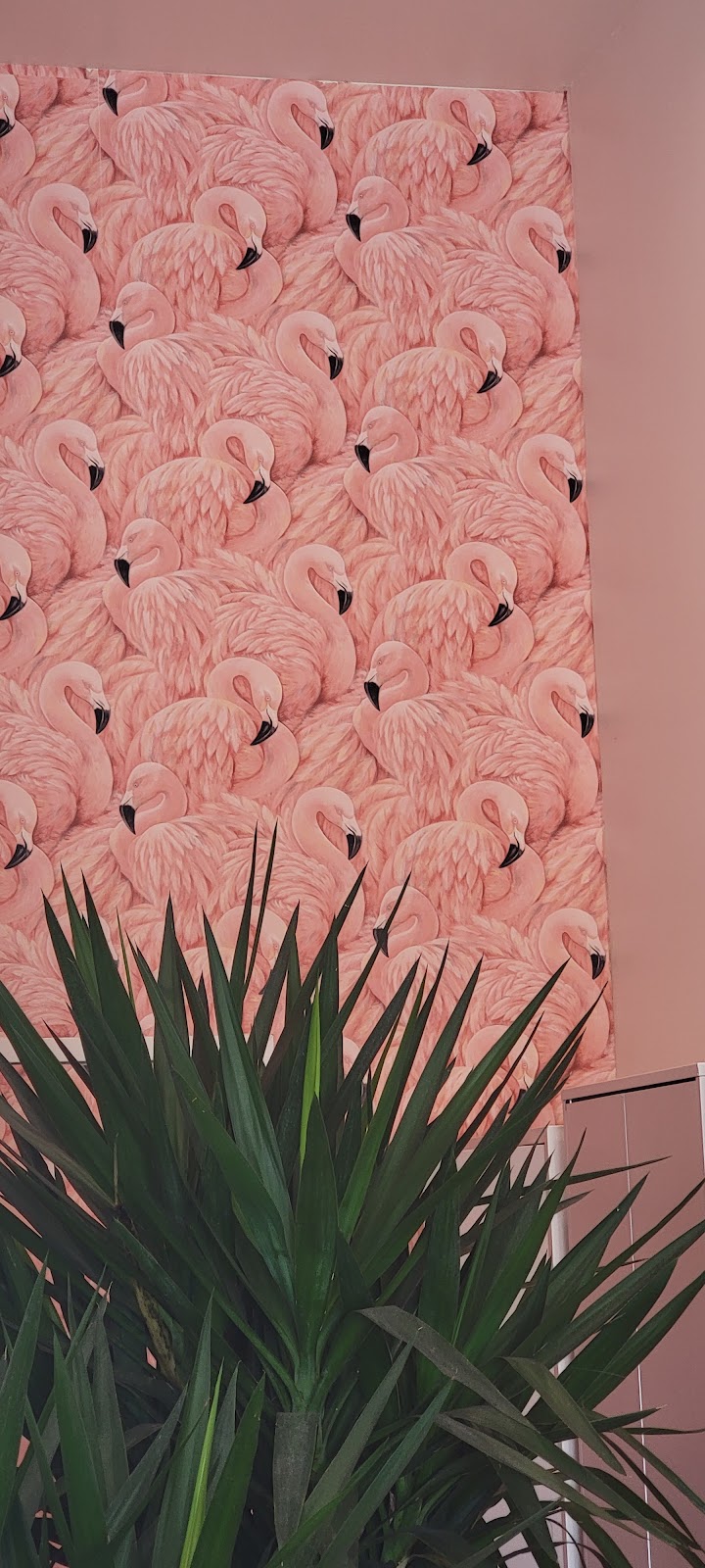 Dreamer Miami - S. Pointe | cafe | 500 South Pointe Dr, Miami Beach, FL 33139, USA | 3057638792 OR +1 305-763-8792