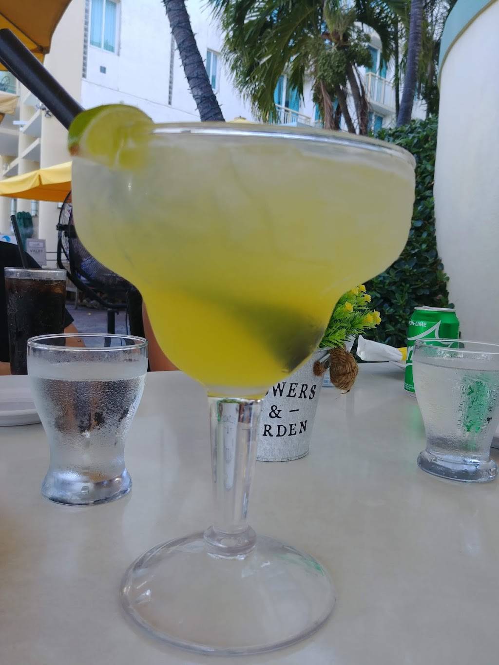 Don Vincenzo | restaurant | 444 Ocean Dr, Miami Beach, FL 33139, USA | 7867256968 OR +1 786-725-6968