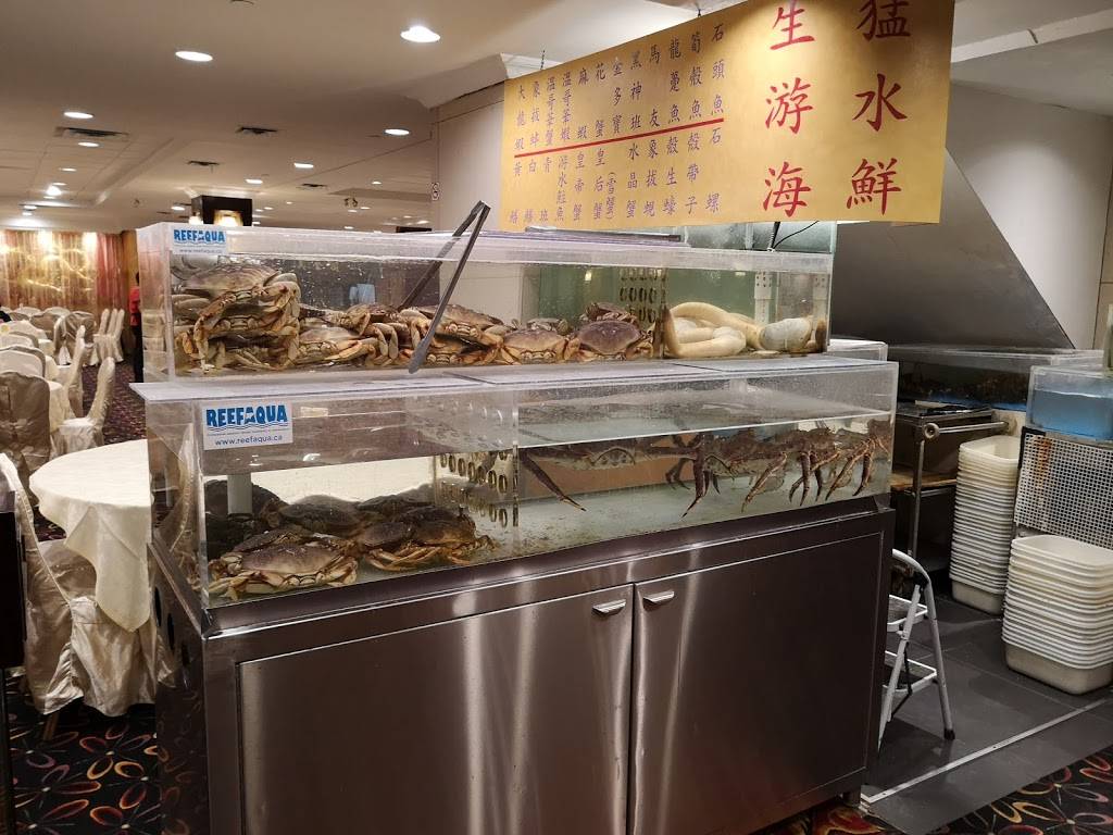 Very Fair Chinese Restaurant | restaurant | 4002 Sheppard Ave E, Scarborough, ON M1S 1S6, Canada | 4163321861 OR +1 416-332-1861