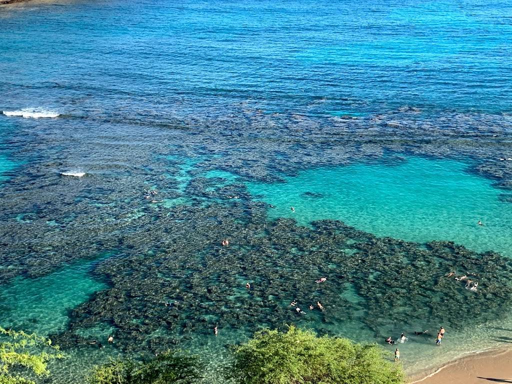 Café Glacé - Lewers Street | cafe | 227 Lewers St #115, Honolulu, HI 96815, USA | 8089272645 OR +1 808-927-2645