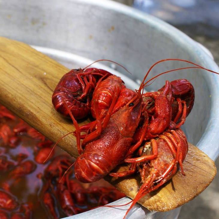 Bourbon Street | restaurant | S Canopy St, Lincoln, NE 68508, USA | 4022611365 OR +1 402-261-1365