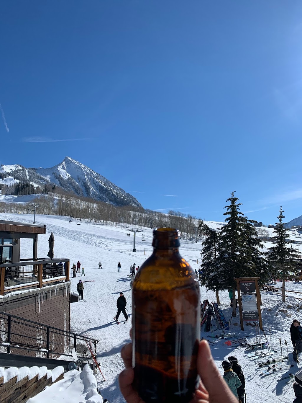 Brown Lab Pub and Bakery | restaurant | 22 Crested Mountain Ln, Crested Butte, CO 81225, USA | 9703494757 OR +1 970-349-4757