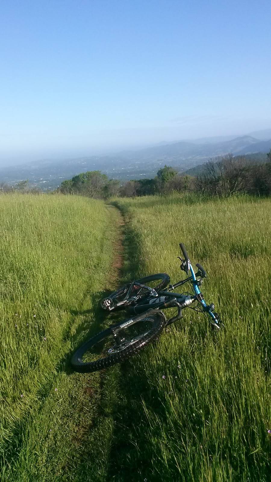 Mr. Pickles Sandwich Shop | restaurant | 4100 Montgomery Dr #D, Santa Rosa, CA 95405, USA | 7075377300 OR +1 707-537-7300