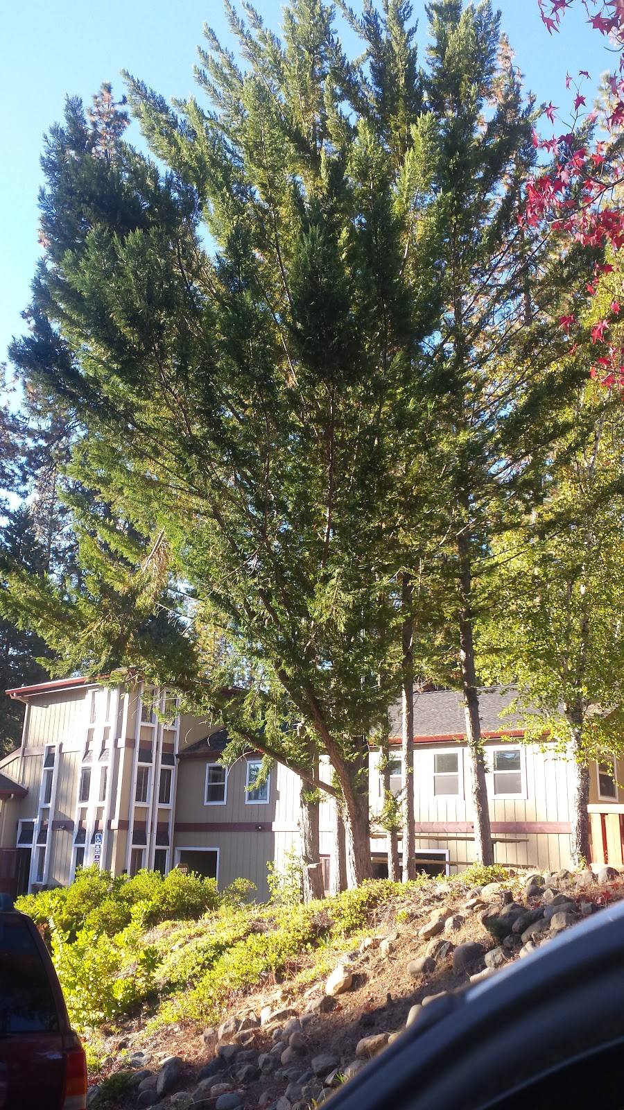 Mountain Retreat Resort | restaurant | 936 Cypress Point Dr, Arnold, CA 95223, USA | 2097954447 OR +1 209-795-4447