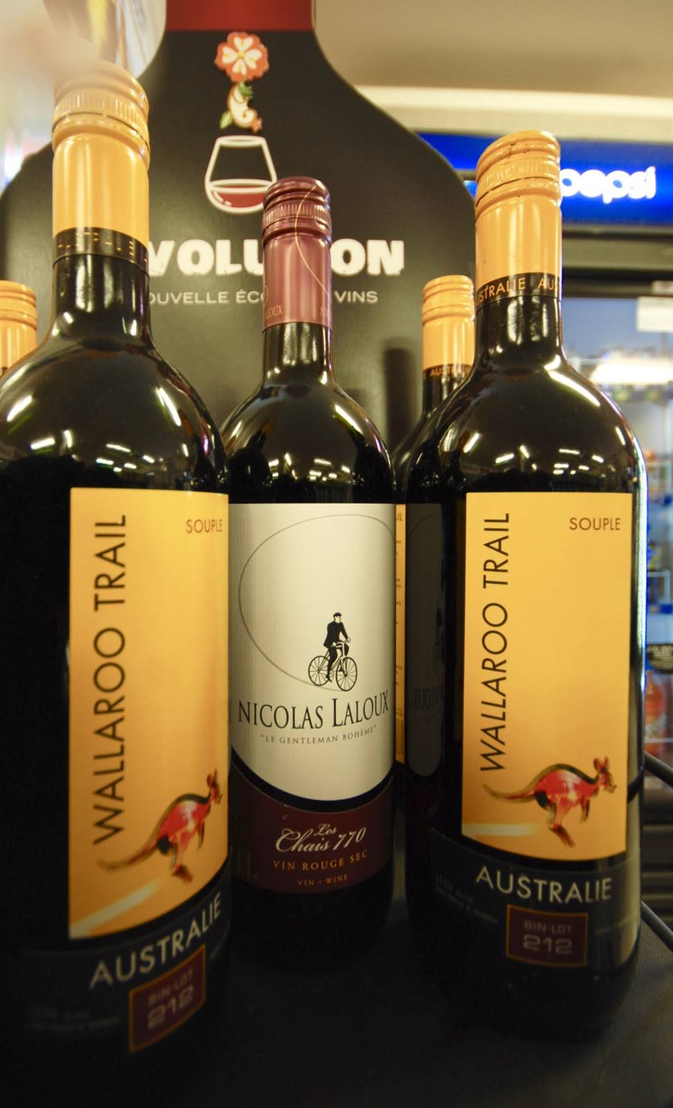 Dépanneur des Érables | meal takeaway | 112 Rue Francois-Branchaud, Maple Grove, QC J6N 1J6, Canada | 4504294355 OR +1 450-429-4355