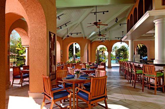 Bleu | restaurant | 4012 Central Florida Pkwy, Orlando, FL 32837, USA | 4072062400 OR +1 407-206-2400