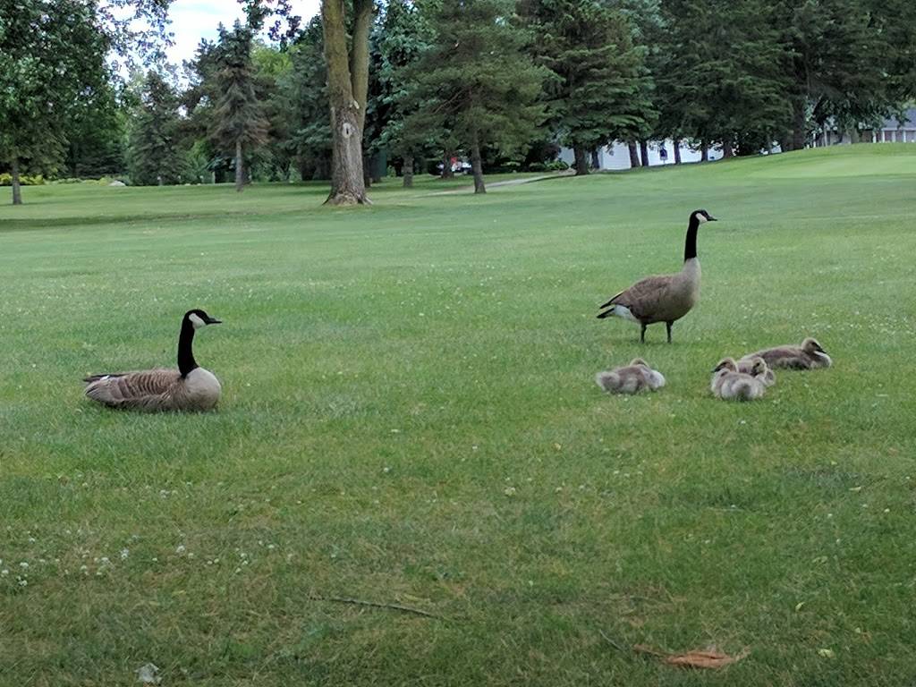 Glenbrier Golf Course | restaurant | 4178 W Locke Rd, Perry, MI 48872, USA | 5176253800 OR +1 517-625-3800