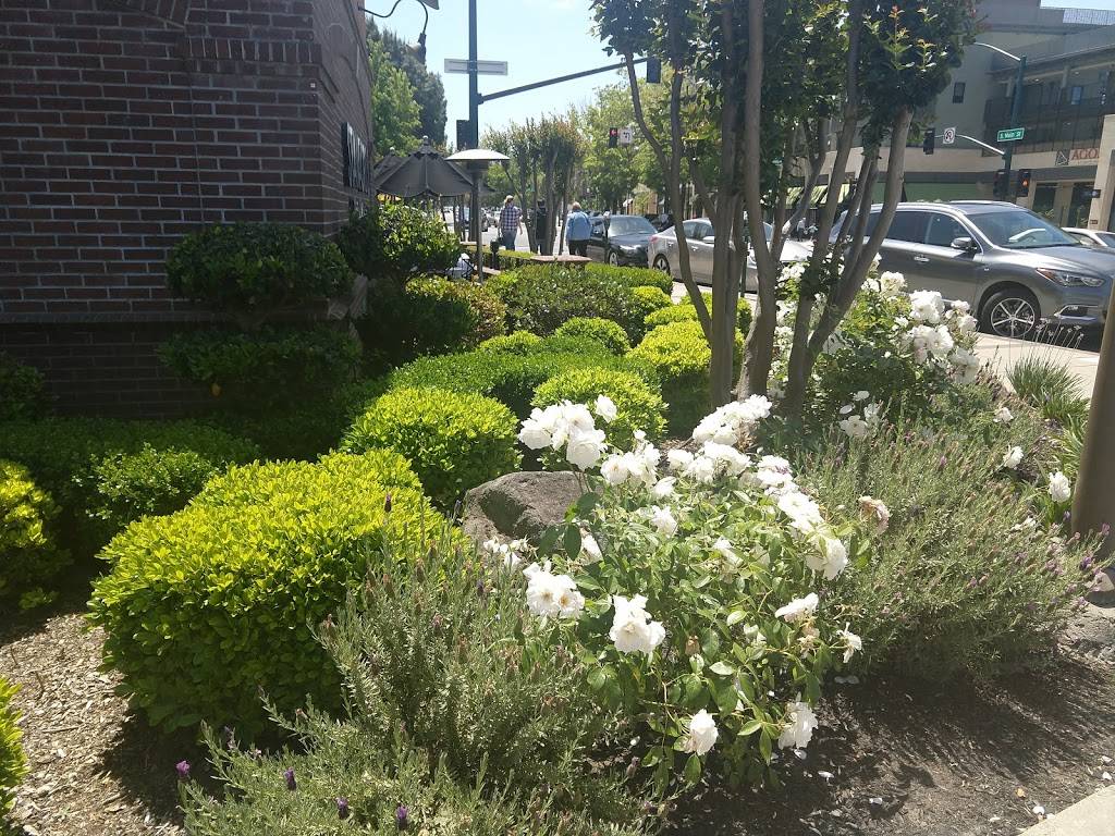 Stanfords Restaurant & Bar | restaurant | 1300 S Main St, Walnut Creek, CA 94596, USA | 9259440895 OR +1 925-944-0895