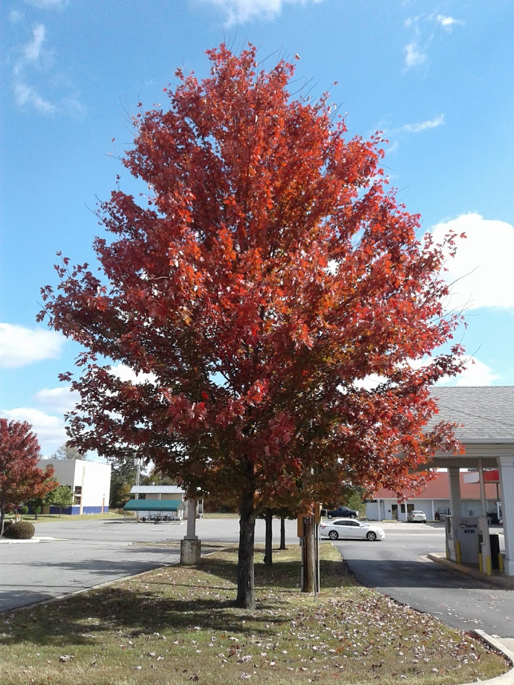 Little Caesars Pizza | meal takeaway | 2670 Prince St SUITE 1, Conway, AR 72034, USA | 5013297300 OR +1 501-329-7300
