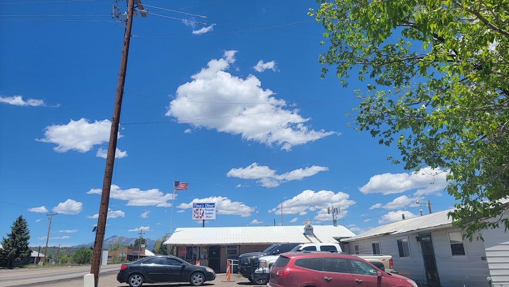 Finas Diner | restaurant | 2298 NM-17, Chama, NM 87520, USA | 5757569195 OR +1 575-756-9195