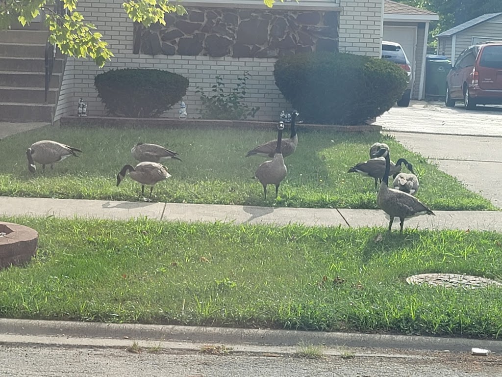 Birdies Sports Bar & Grill | restaurant | 4036 W 111th St, Oak Lawn, IL 60453, USA | 7089319550 OR +1 708-931-9550