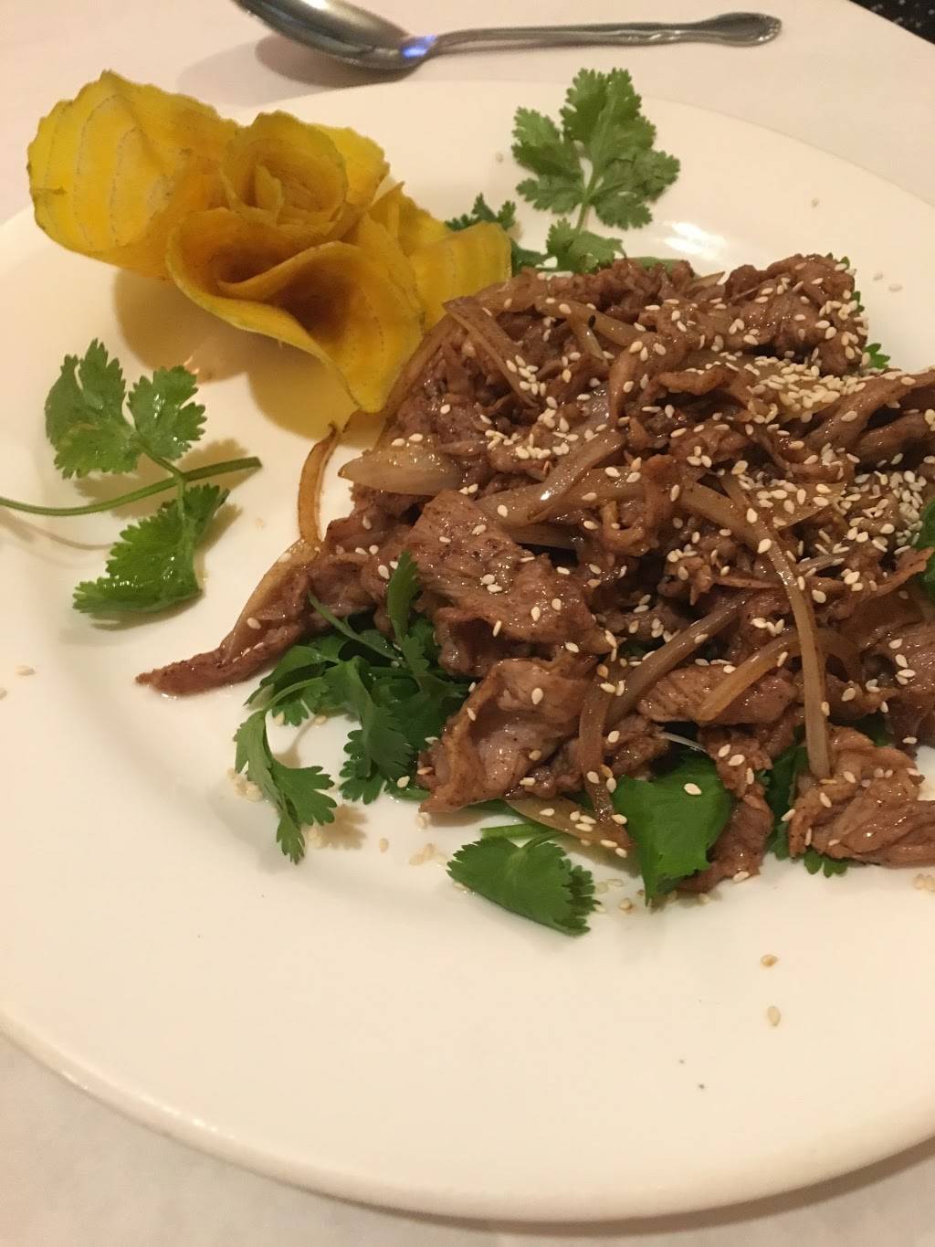 Grand Sichuan House | restaurant | 8701 5th Ave, Brooklyn, NY 11209, USA | 7186808887 OR +1 718-680-8887