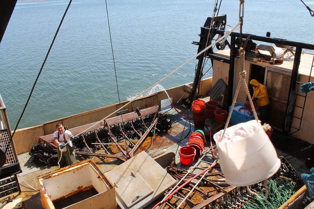 Oceans Fleet Fisheries, Inc. | restaurant | 20 Blackmer St, New Bedford, MA 02744, USA | 5089963742 OR +1 508-996-3742