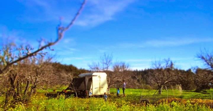 Fogline Farm | restaurant | 1701 Cabrillo Hwy, Pescadero, CA 94060, USA | 8312122411 OR +1 831-212-2411