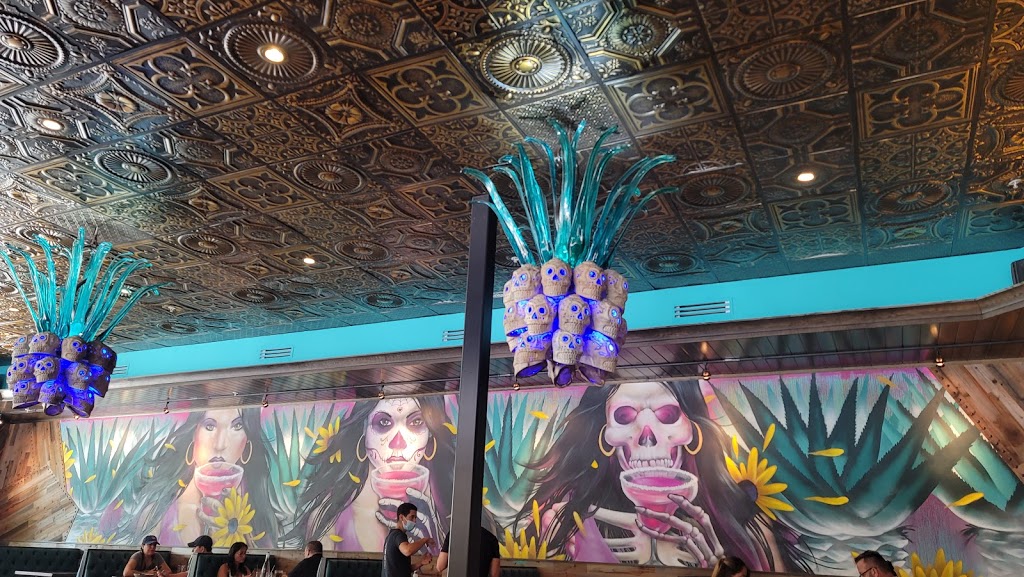 Agave Bandido | restaurant | 14531 SW 5th St, Pembroke Pines, FL 33027, USA | 9543676141 OR +1 954-367-6141