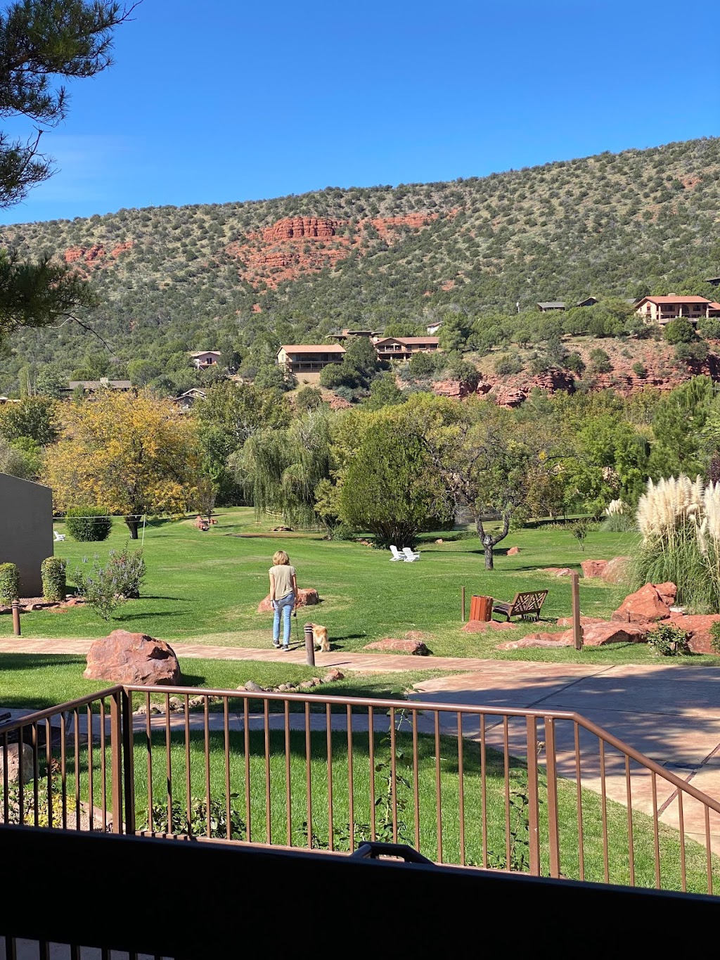 Willows Kitchen & Wine Bar | restaurant | 1752 AZ-179, Sedona, AZ 86336, USA | 9282035936 OR +1 928-203-5936