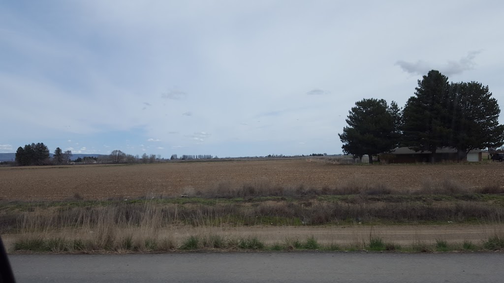 L & R Cafe | cafe | 1114 Central Ave S, Quincy, WA 98848, USA | 5097872210 OR +1 509-787-2210