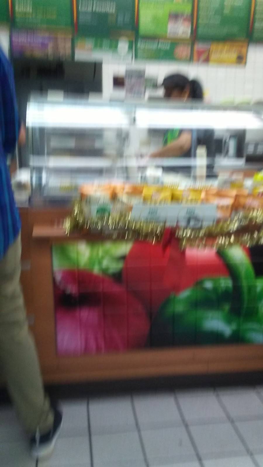 Subway | restaurant | 61 Rufus Robinson Rd, Sylva, NC 28779, USA | 8285866379 OR +1 828-586-6379