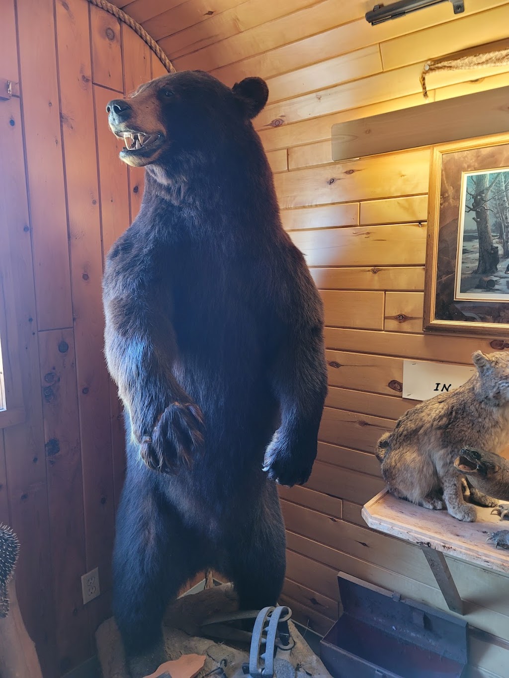 Bear Trap Inn | restaurant | N7294 Co Rd H-15, Shingleton, MI 49884, USA | 9064526364 OR +1 906-452-6364