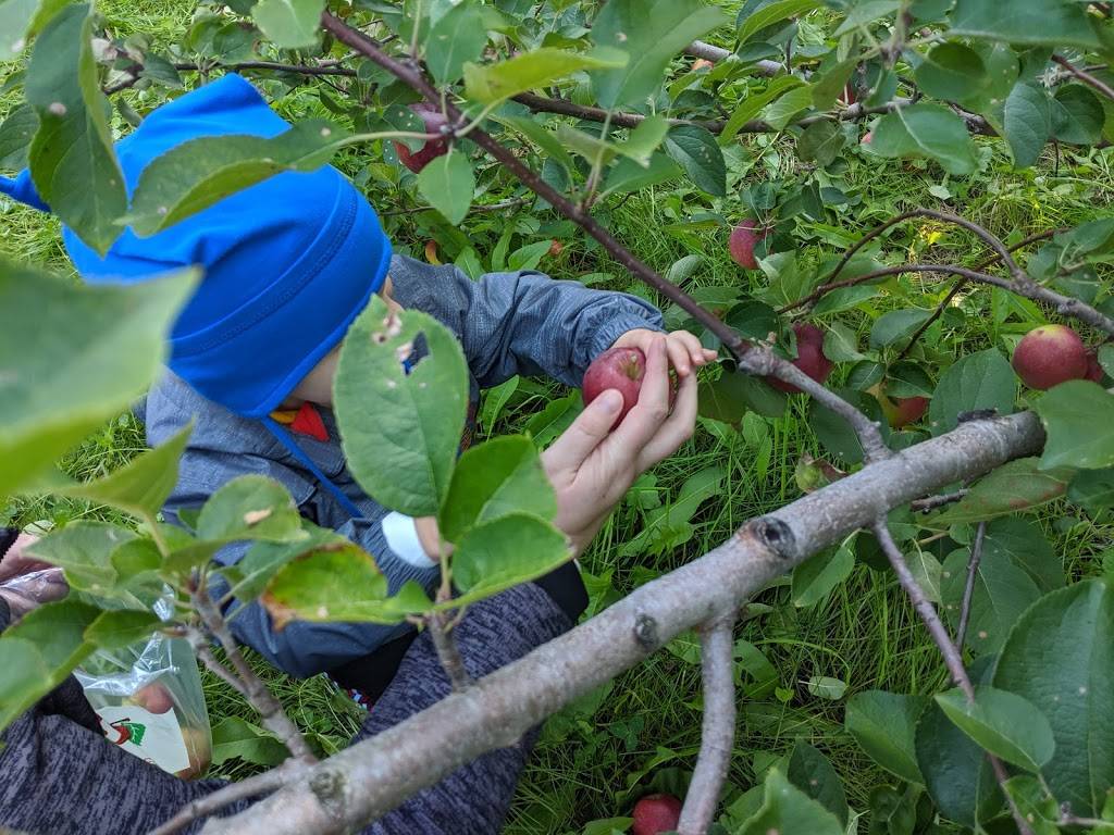 Verger Labonté | restaurant | 2291 Boulevard Perrot, Notre-Dame-de-lÎle-Perrot, QC J7V 8P4, Canada | 5144535379 OR +1 514-453-5379