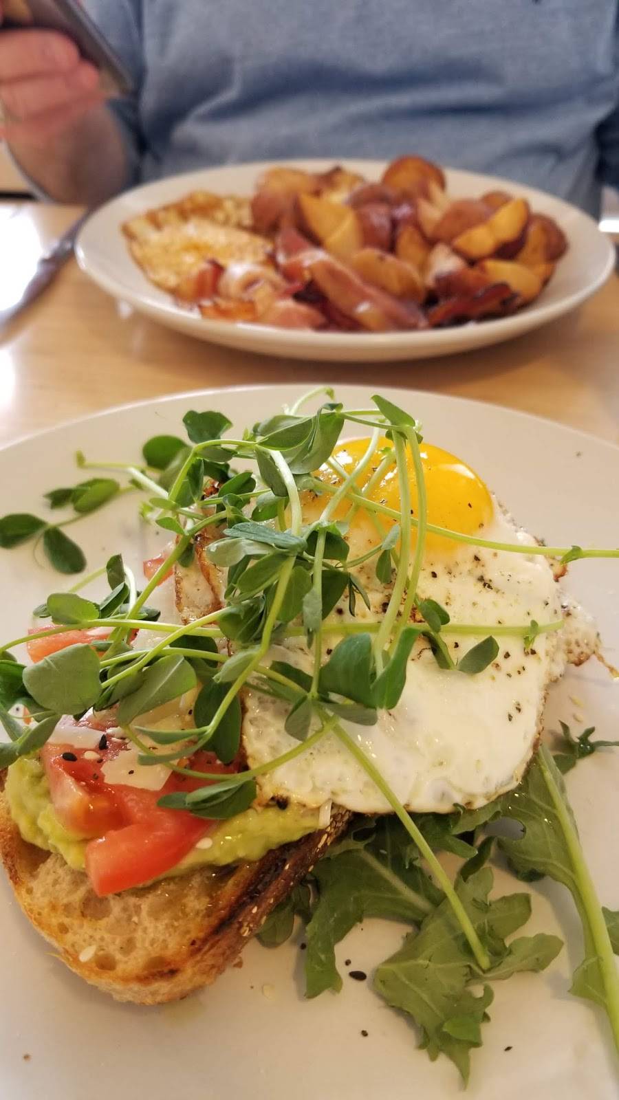 Locals Only | restaurant | 311 Alexander St, Rochester, NY 14604, USA | 5855377566 OR +1 585-537-7566