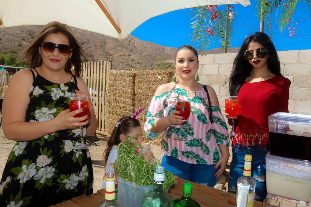 Delicias Mayoral | restaurant | Ejido Emiliano zapata km70, Ensenada, Militar, 21470 Tecate, B.C., Mexico | 016461312318 OR +52 646 131 2318