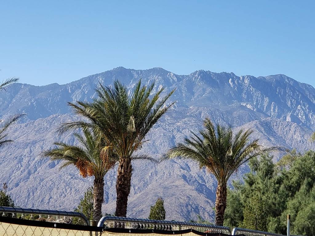 Desert Princess Country Club | restaurant | 28555 Landau Blvd, Cathedral City, CA 92234, USA | 7603222280 OR +1 760-322-2280