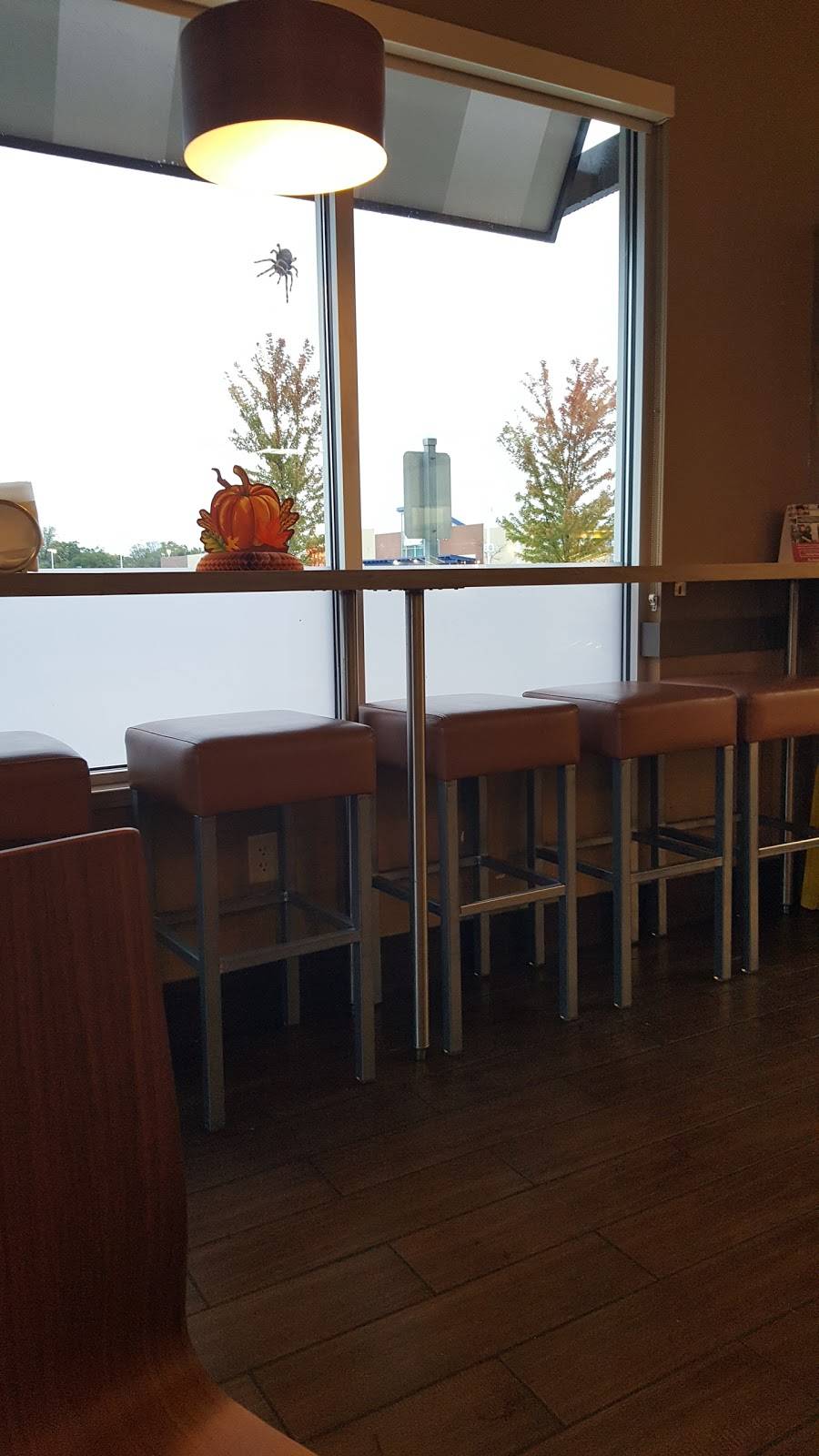 Cold Stone Creamery | bakery | 3334 Henry St, Norton Shores, MI 49441, USA | 2317336482 OR +1 231-733-6482