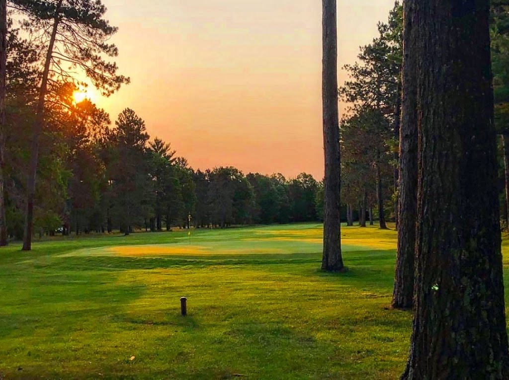 Twin Birch Golf Course and Restaurant | restaurant | 1030 Co Rd 612, Kalkaska, MI 49646, USA | 2312589691 OR +1 231-258-9691