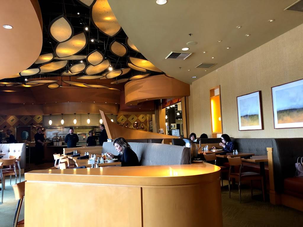 Cafe Bistro | cafe | 15900 La Cantera Pkwy, San Antonio, TX 78256, USA | 2103321900 OR +1 210-332-1900