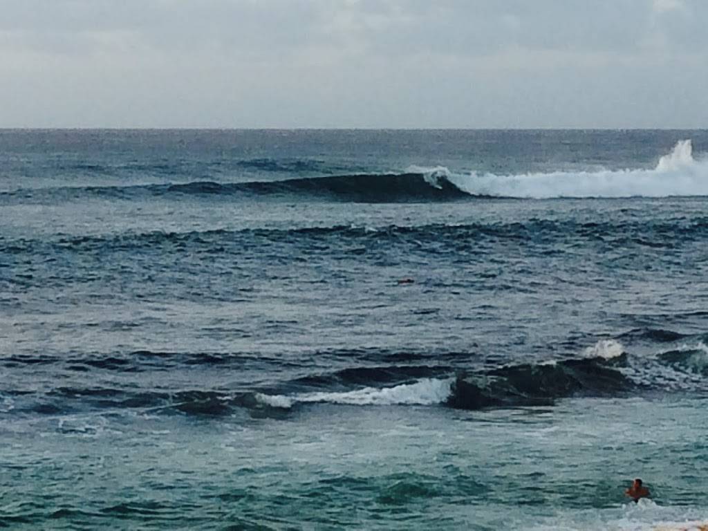 Speedy Café | restaurant | 9369 Mentor Ave, Mentor, OH 44060, USA | 4402558466 OR +1 440-255-8466