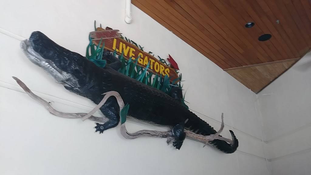 Gators Dockside | restaurant | 5142 Dr Phillips Blvd, Orlando, FL 32819, USA | 4077706049 OR +1 407-770-6049