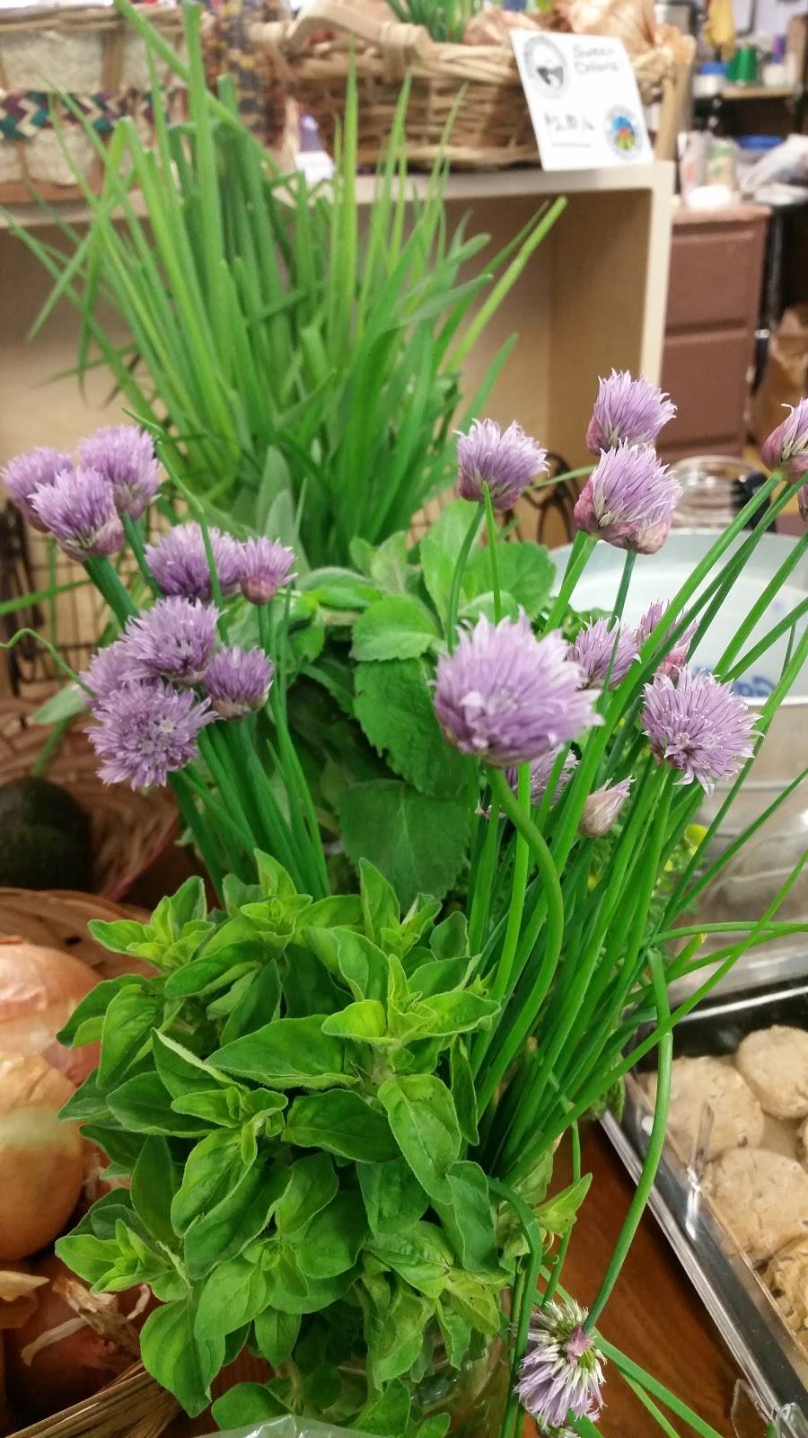 Wholesome Harvest Coop (food store) | restaurant | 30 W Main St, Frostburg, MD 21532, USA | 3016893120 OR +1 301-689-3120