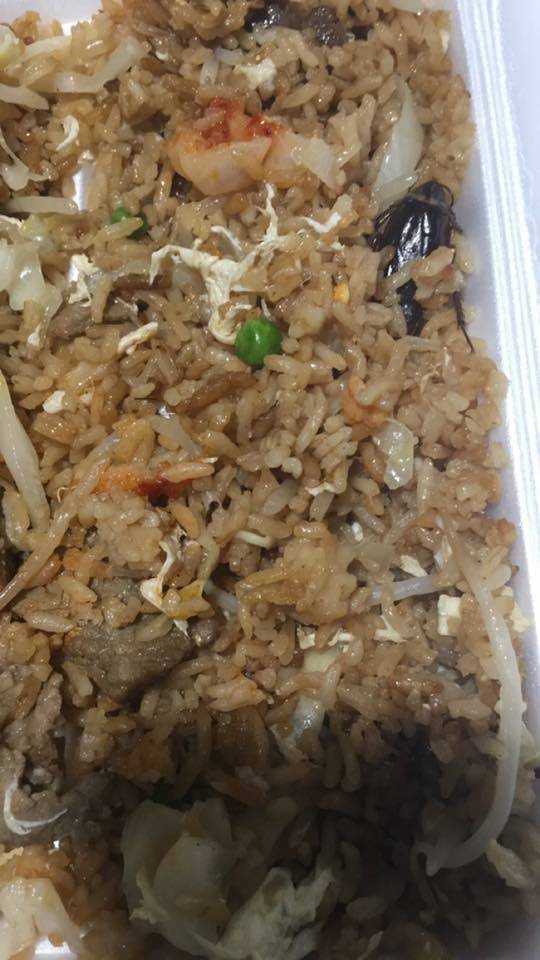 Wok DLite Chinese Cafe | cafe | 1033 Edgebrook Dr, Houston, TX 77034, USA | 7139430218 OR +1 713-943-0218