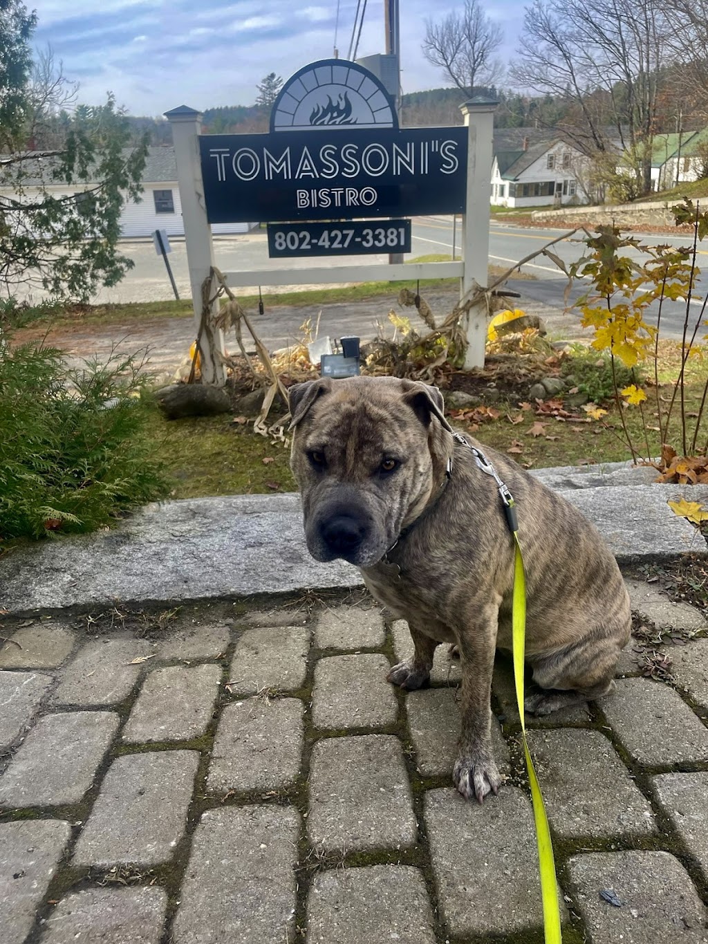 Tomassonis Bistro | restaurant | 570 VT-114, East Burke, VT 05832, USA | 8024273381 OR +1 802-427-3381