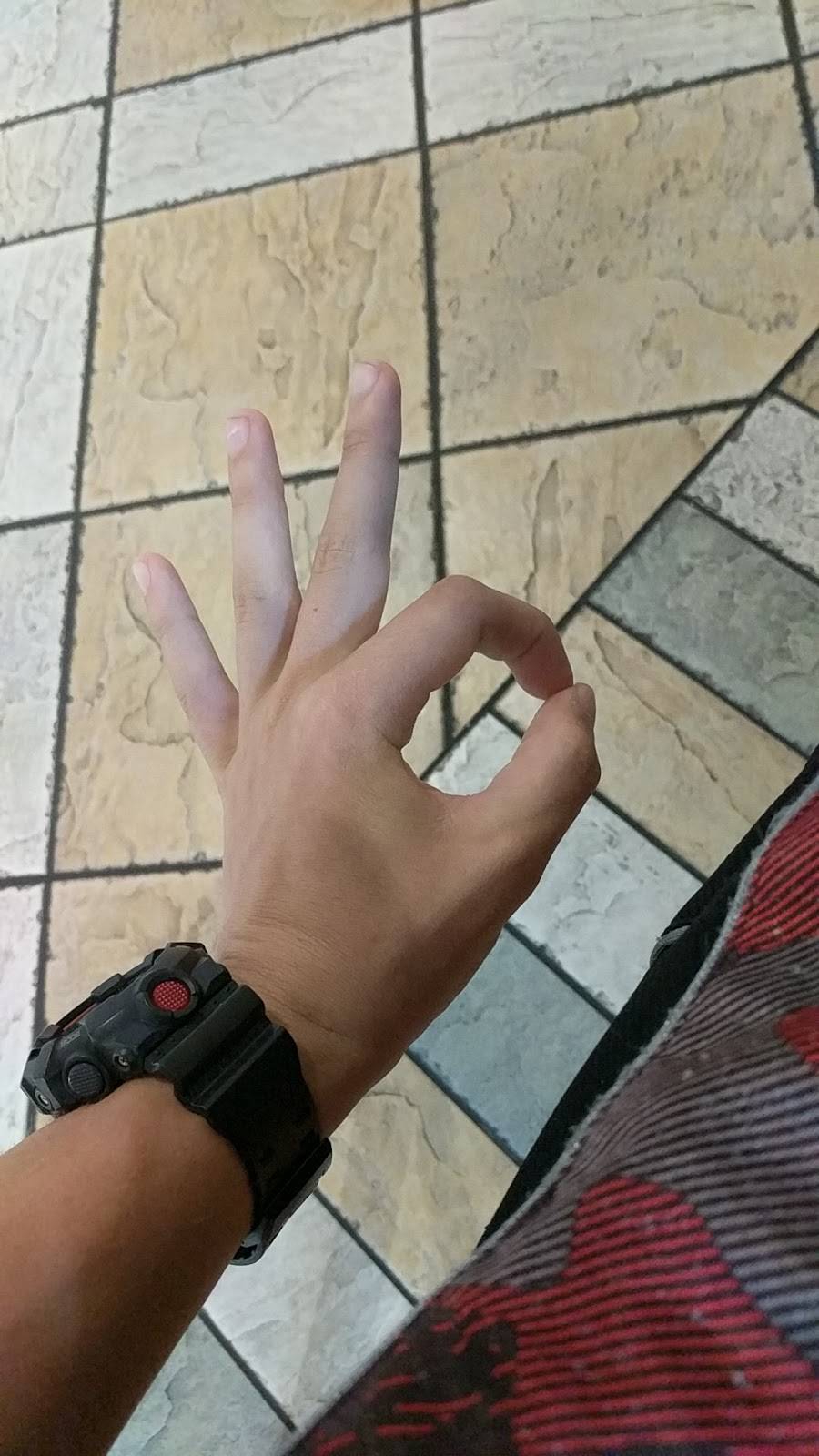 Delicious Delivery | restaurant | 1779 N Congress Ave, Boynton Beach, FL 33426, USA | 5617524444 OR +1 561-752-4444