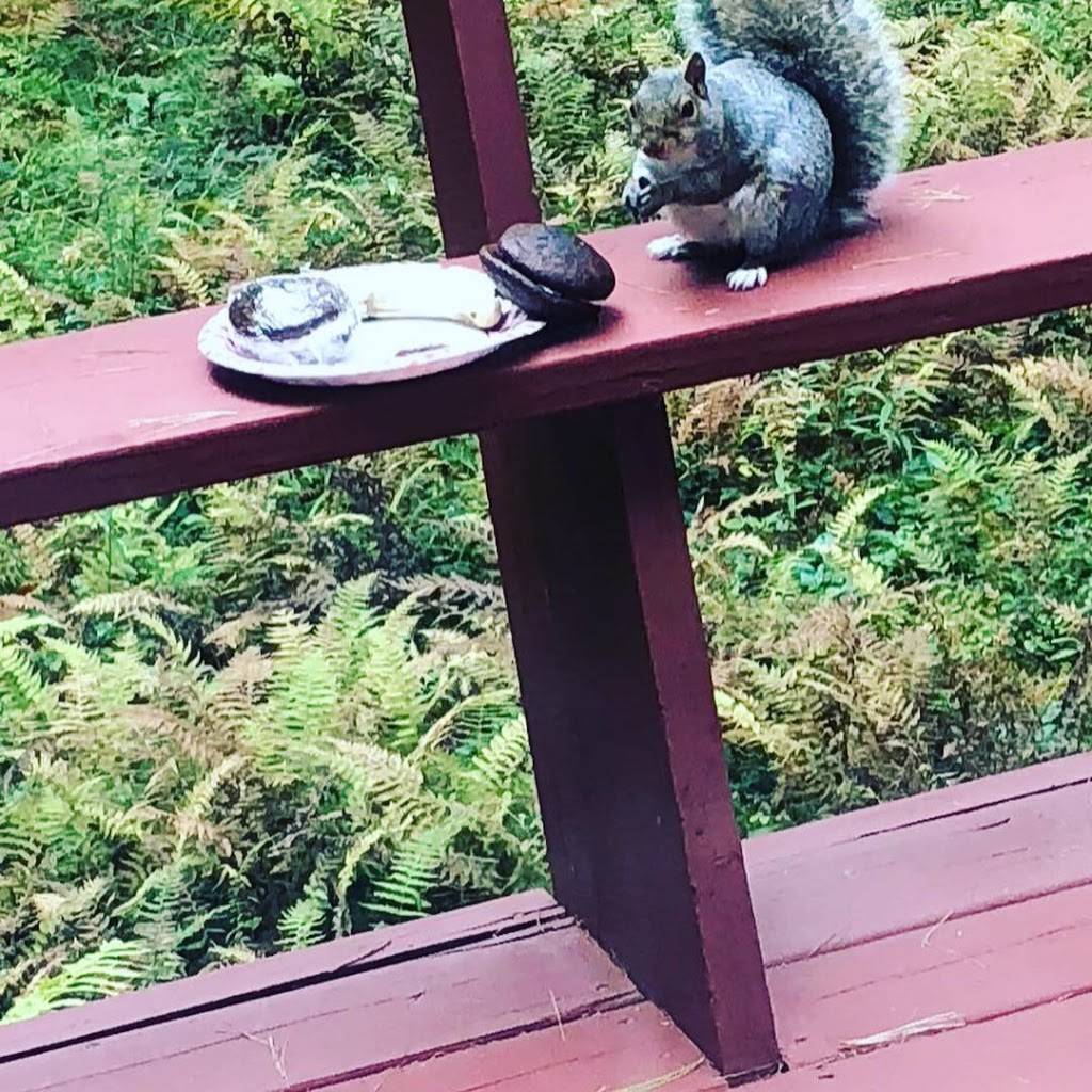 Boxford Community Center | restaurant | 7 Elm St, Boxford, MA 01921, USA | 9788875632 OR +1 978-887-5632