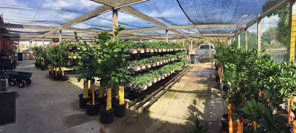 Standard Feed & Seed | restaurant | 1236 Kings Rd, Jacksonville, FL 32204, USA | 9043555575 OR +1 904-355-5575