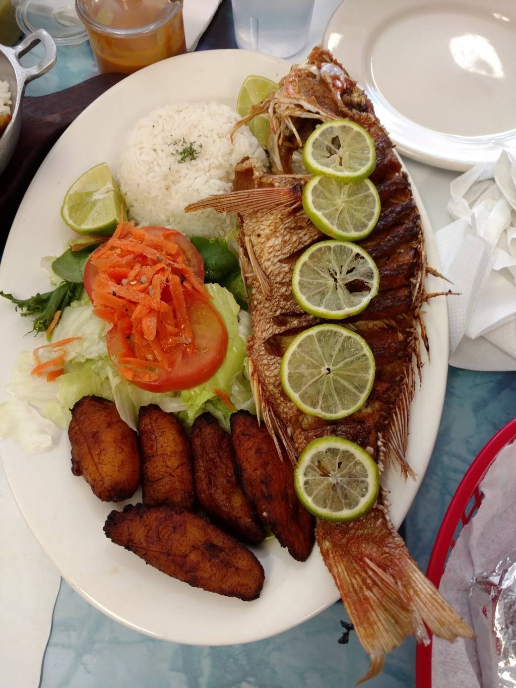 Mi Pais | restaurant | 477 Lancaster Ave, Malvern, PA 19355, USA | 6102510956 OR +1 610-251-0956