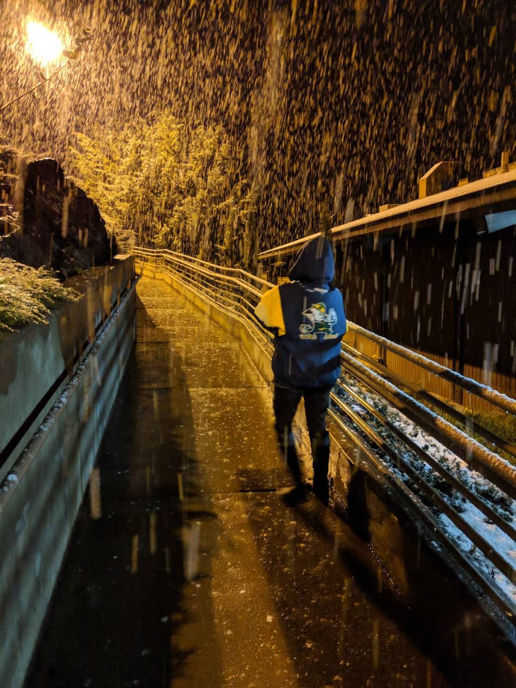 Pine Mountain Lake Country Club | restaurant | 12765 Mueller Dr, Groveland, CA 95321, USA | 2099628638 OR +1 209-962-8638