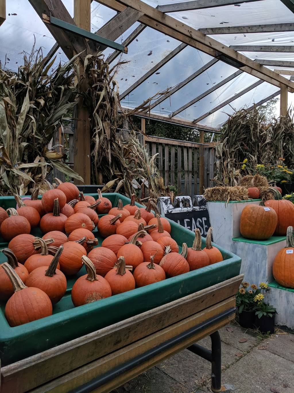 Davids Diner | restaurant | 2800 Freeport Rd, Springdale, PA 15144, USA | 4124638482 OR +1 412-463-8482