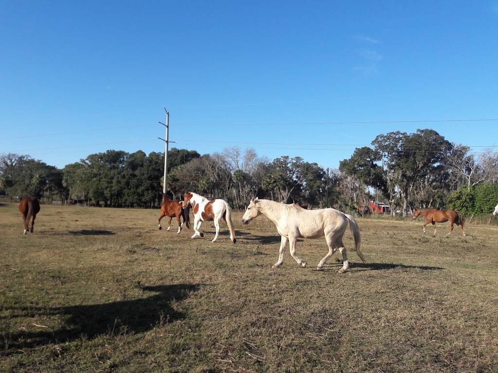 Grill At Imperial | restaurant | 9680 Buffalo Rd, Palmetto, FL 34221, USA | 9417233655 OR +1 941-723-3655